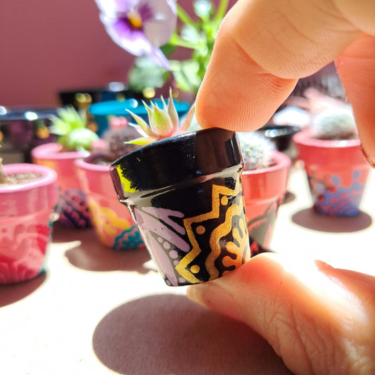 Tiny Pots - Tiniest